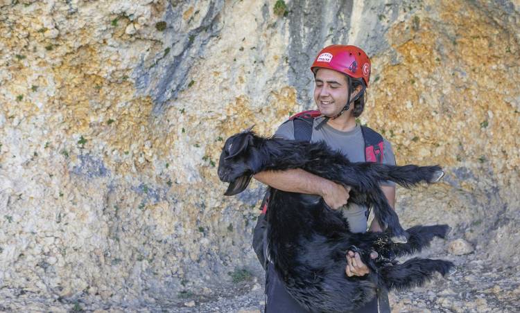 Mersin'de 15 metrelik obruğa düşen keçiyi itfaiye kurtardı » Haberler burada